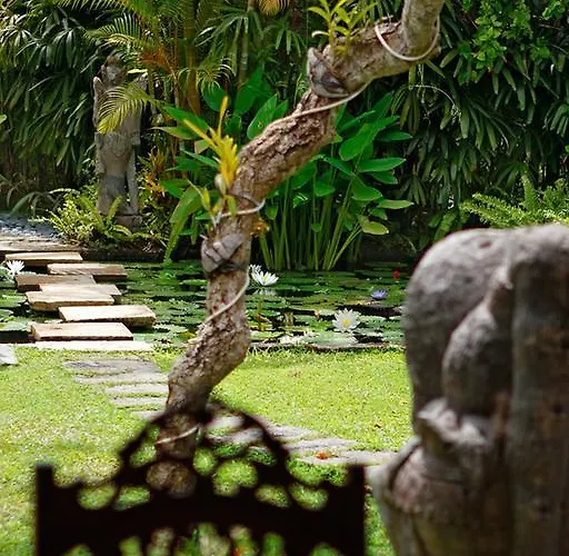 Hibiscus Sanur
