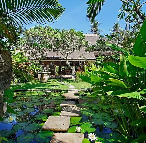 Hibiscus Sanur